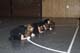 Sportschule_44