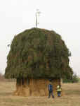 unterd-04.jpg (35787 Byte)