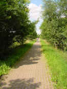 Dsc00217a.jpg (120214 Byte)